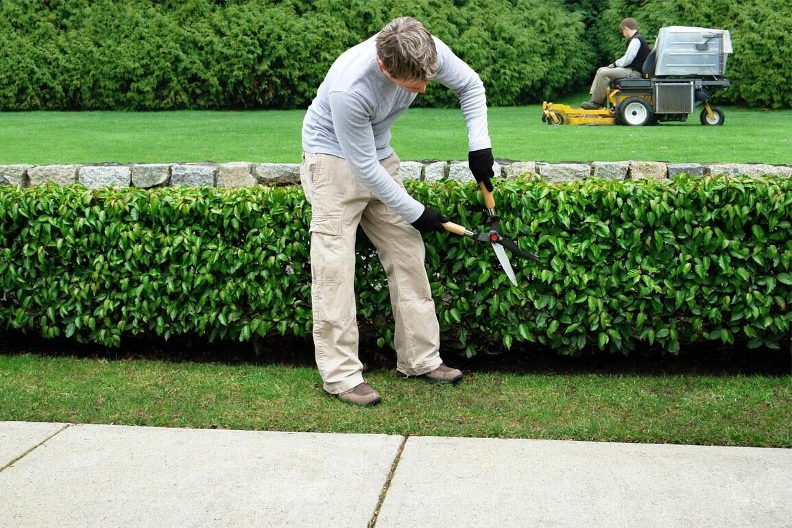 Jardinage