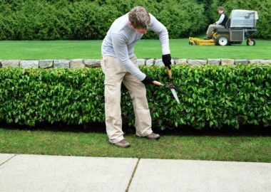 Jardinier Luxembourg • Homme à tout faire Luxembourg