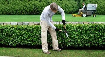 Jardinier Luxembourg • Homme à tout faire Luxembourg